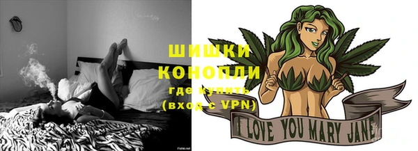 PSILOCYBIN Армянск