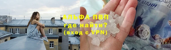 меф Ельня