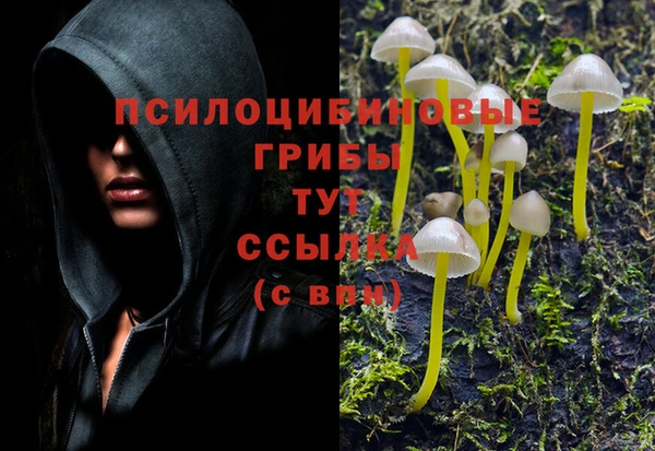 эйфоретик Каменка